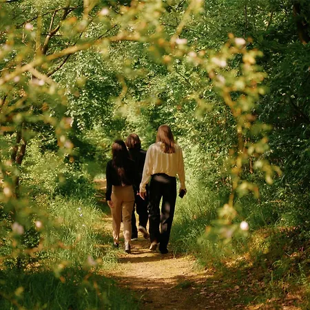 Lufthansa - Than A Conference 4* Seeheim-Jugenheim