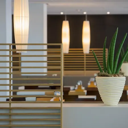 Hotell Lufthansa - Than A Conference