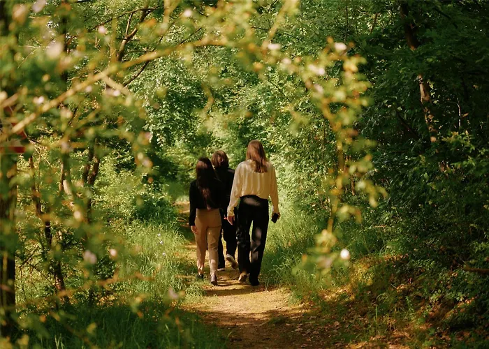 Lufthansa - Than A Conference 4* Seeheim-Jugenheim